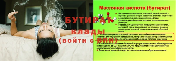прущие грибы Щучье