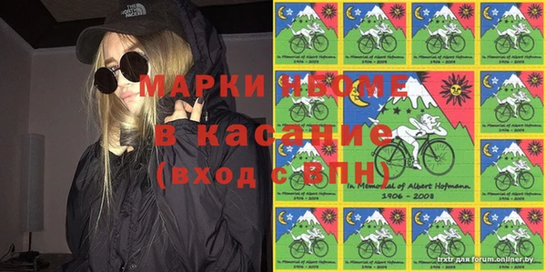 прущие грибы Щучье