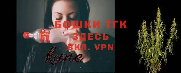 тгк Щигры
