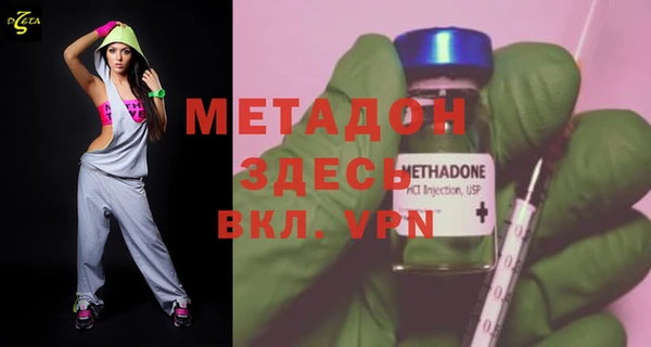 прущие грибы Щучье