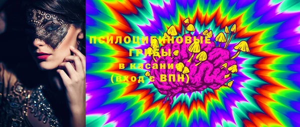 мяу мяу мука Абаза