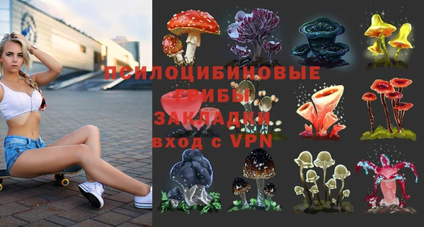 МДМА Коряжма