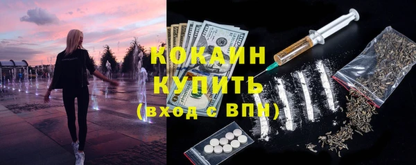 прущие грибы Щучье
