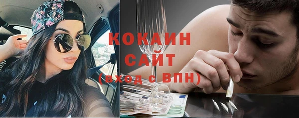 тгк Щигры