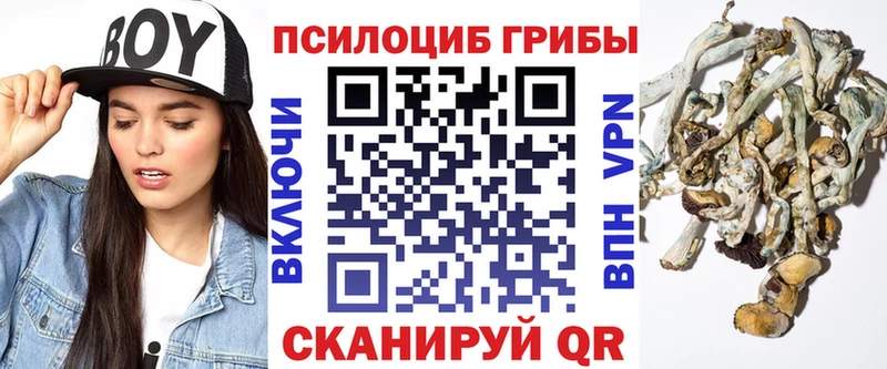 Псилоцибиновые грибы мицелий  Азнакаево 