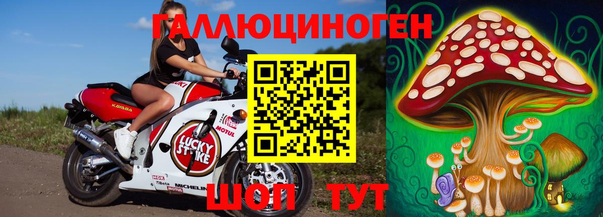 Галлюциногенные грибы Psilocybe  Псилоцибиновые грибы Psilocybe  Азнакаево  Вход с VPN 