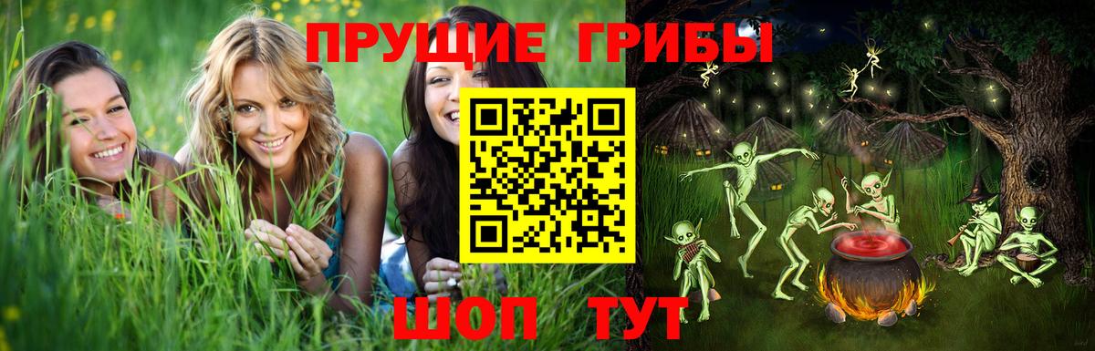 Галлюциногенные грибы мухоморы Азнакаево