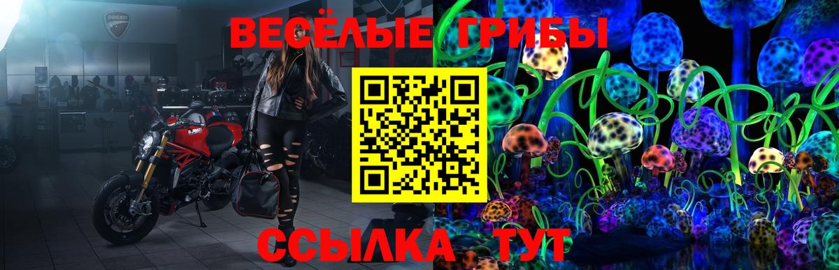 Псилоцибиновые грибы Psilocybe Азнакаево