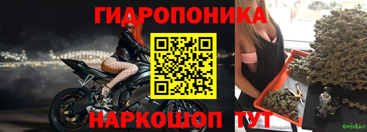 Азнакаево  Конопля MAZAR  Канабис планчик  Конопля MAZAR  Вход с VPN 